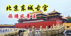 少妇群交视频中国北京-东城古宫旅游风景区